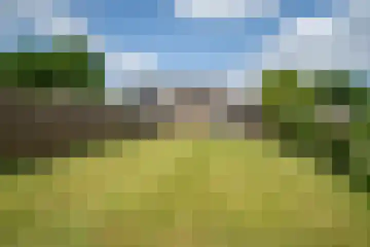 Napoleonsweg 17 Neer thumbnail 28