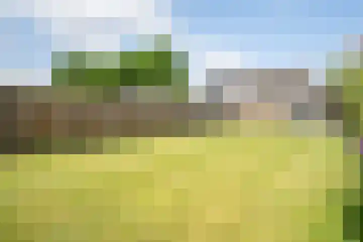 Napoleonsweg 17 Neer thumbnail 29