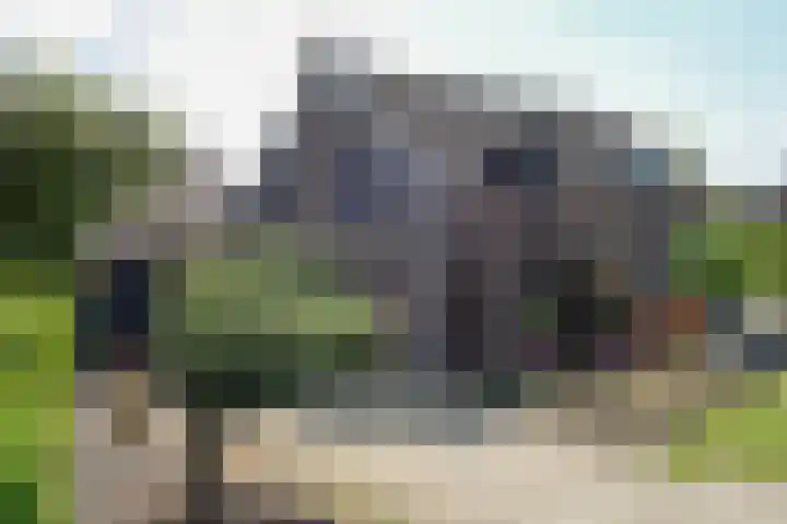 Napoleonsweg 17 Neer foto 3