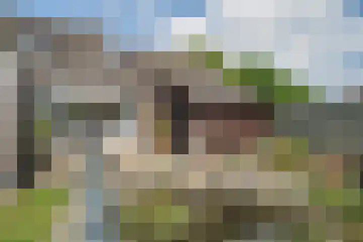 Napoleonsweg 17 Neer thumbnail 33