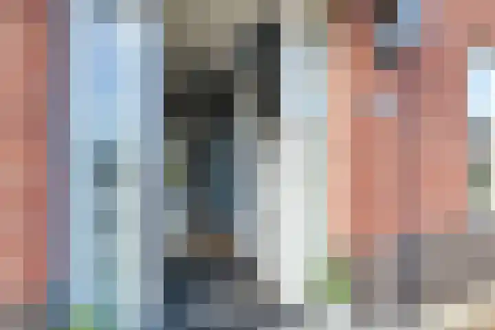 Narcis 10 Andijk thumbnail 13