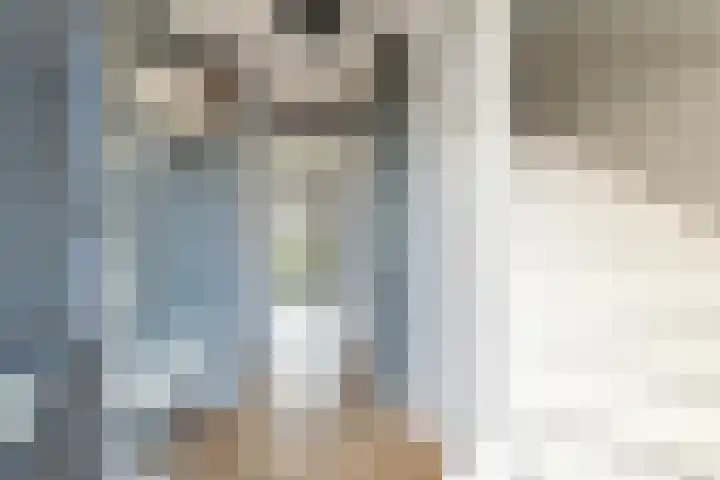 Narcis 10 Andijk thumbnail 14