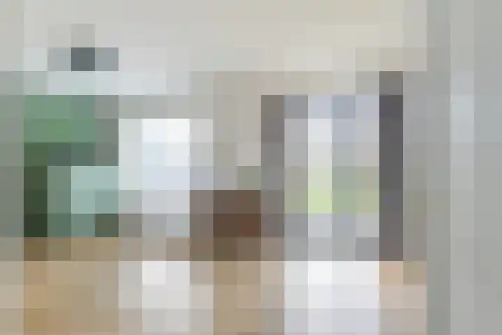 Narcis 10 Andijk thumbnail 17