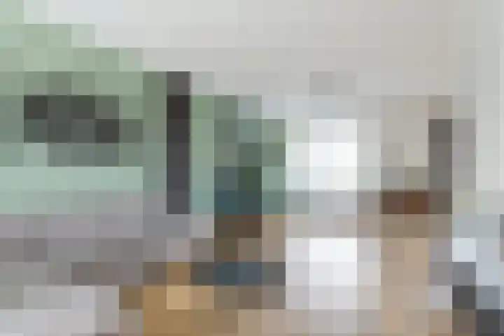 Narcis 10 Andijk thumbnail 22