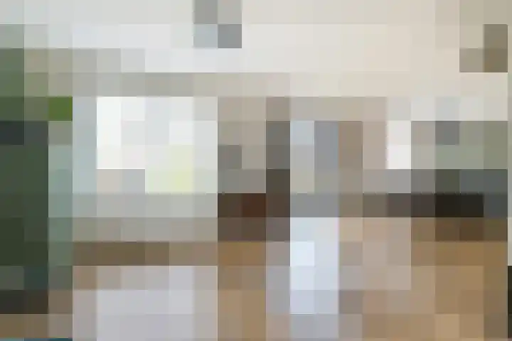 Narcis 10 Andijk thumbnail 24
