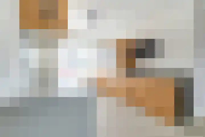 Narcis 10 Andijk thumbnail 30