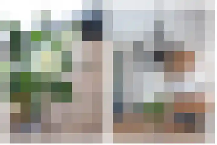 Narcis 10 Andijk thumbnail 33