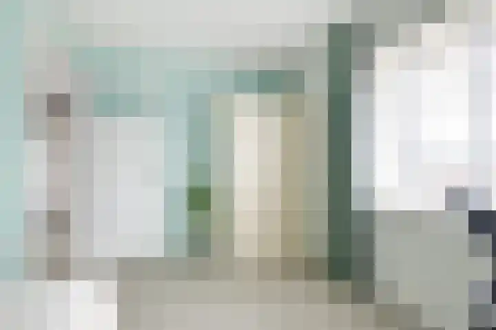 Narcis 10 Andijk thumbnail 53