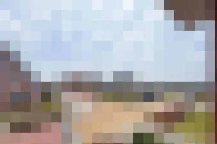 Narcis 10 Andijk thumbnail 55