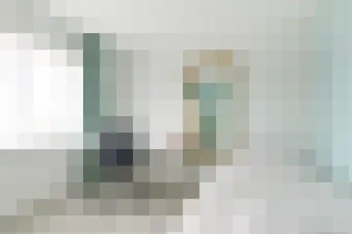 Narcis 10 Andijk thumbnail 56