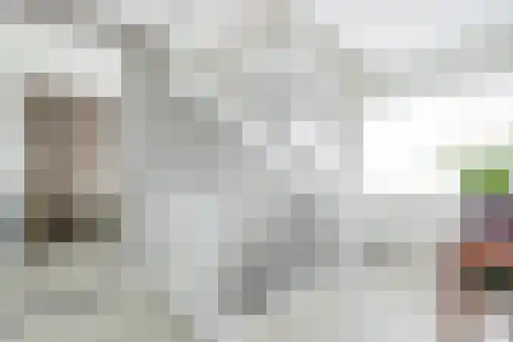 Narcis 10 Andijk thumbnail 62