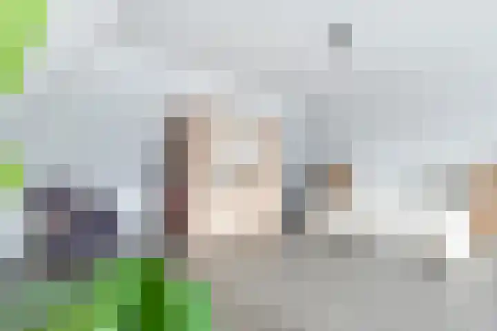 Narcis 10 Andijk thumbnail 67