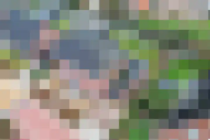 Narcis 10 Andijk thumbnail 70
