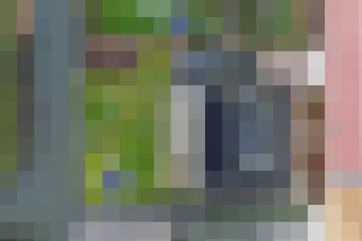 Narcis 10 Andijk thumbnail 71