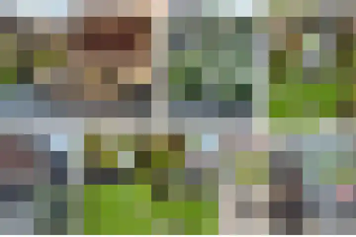 Narcis 10 Andijk thumbnail 81