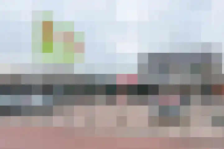 Narcis 10 Andijk thumbnail 83
