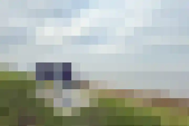 Narcis 10 Andijk thumbnail 87