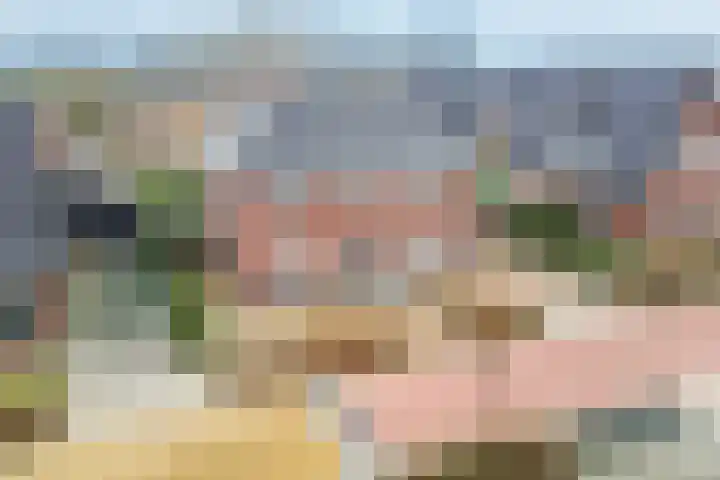 Narcis 10 Andijk thumbnail 9