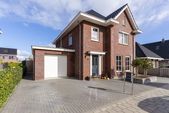 Narcis 15 in Andijk foto