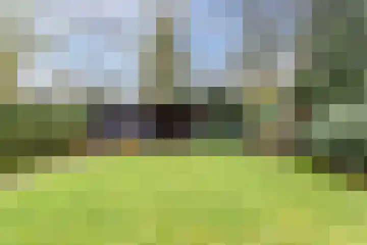 Narcislaan 21 Leende thumbnail 53