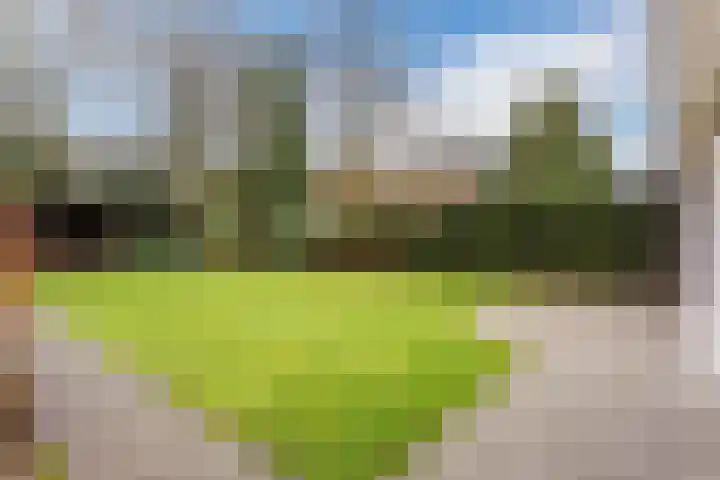 Narcislaan 21 Leende thumbnail 57