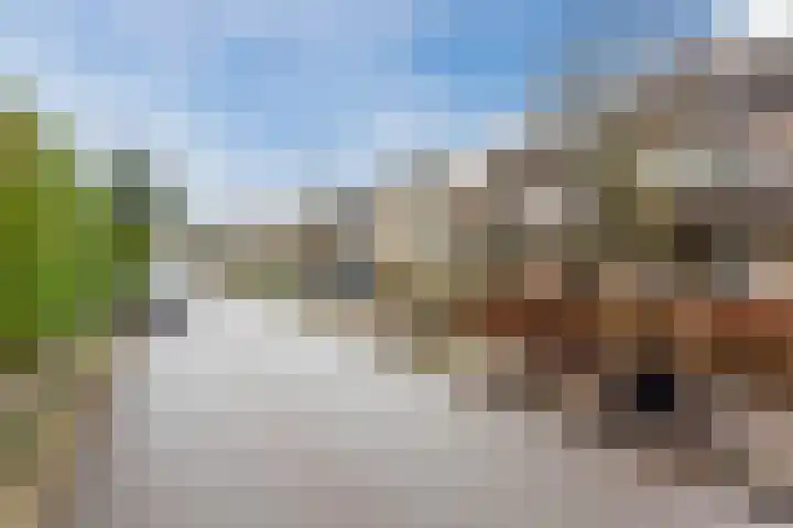 Narcislaan 21 Leende thumbnail 60