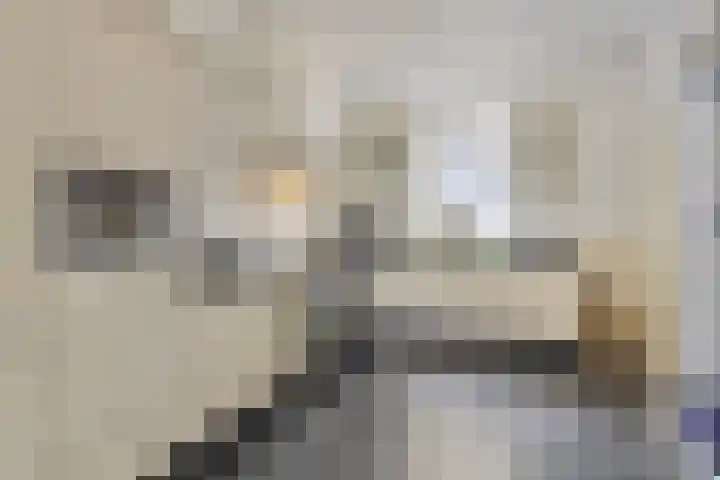Narcislaan 25 Heesch thumbnail 12