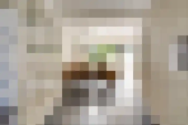 Narcislaan 25 Heesch thumbnail 14