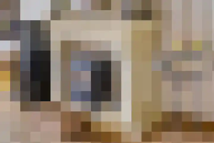 Narcislaan 25 Heesch thumbnail 25