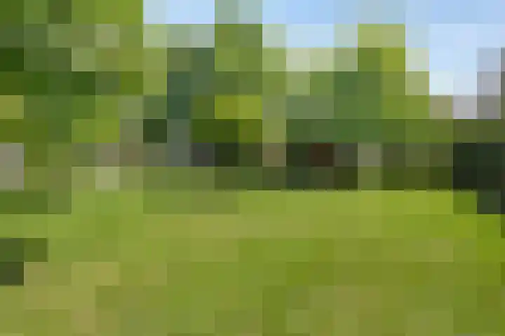 Narcislaan 25 Heesch thumbnail 42