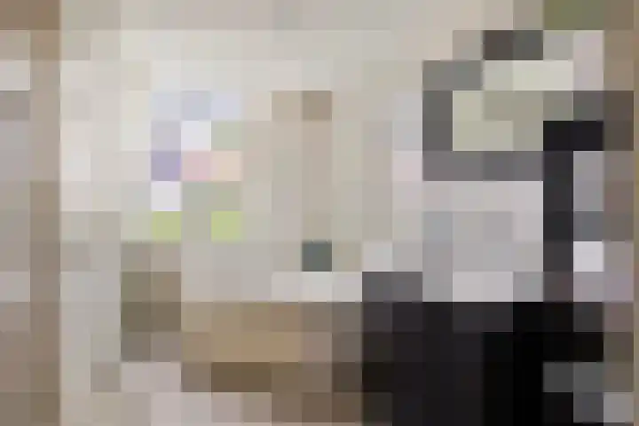 Narcislaan 25 Heesch thumbnail 5