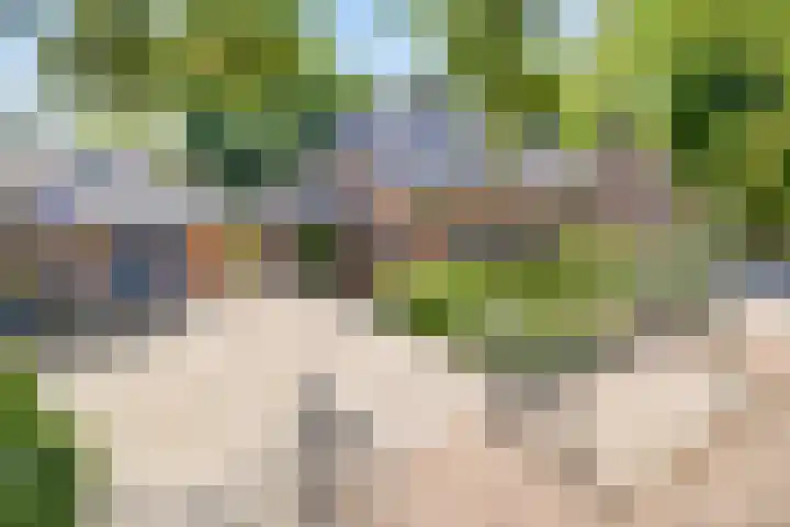 Narcislaan 25 Heesch thumbnail 51