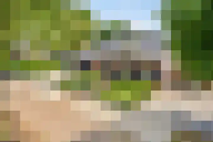 Narcislaan 25 Heesch thumbnail 53