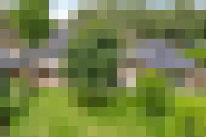 Narcislaan 25 Heesch thumbnail 56