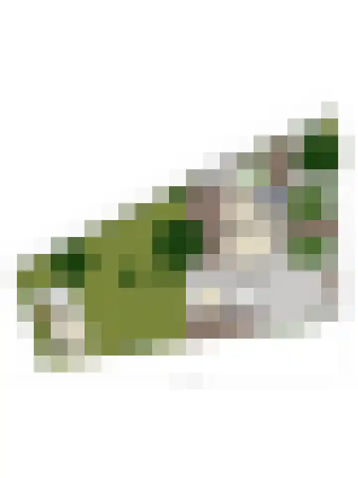 Narcislaan 25 Heesch thumbnail 61