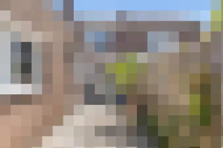 Narcissensingel 68 Geleen thumbnail 19