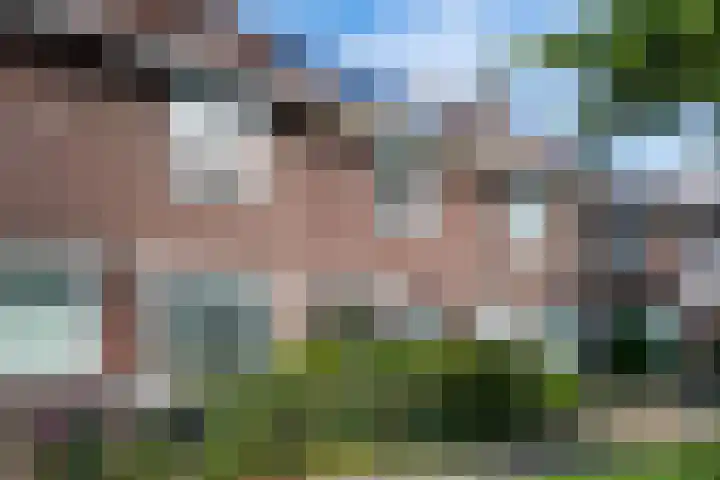 Narcissensingel 68 Geleen thumbnail 22