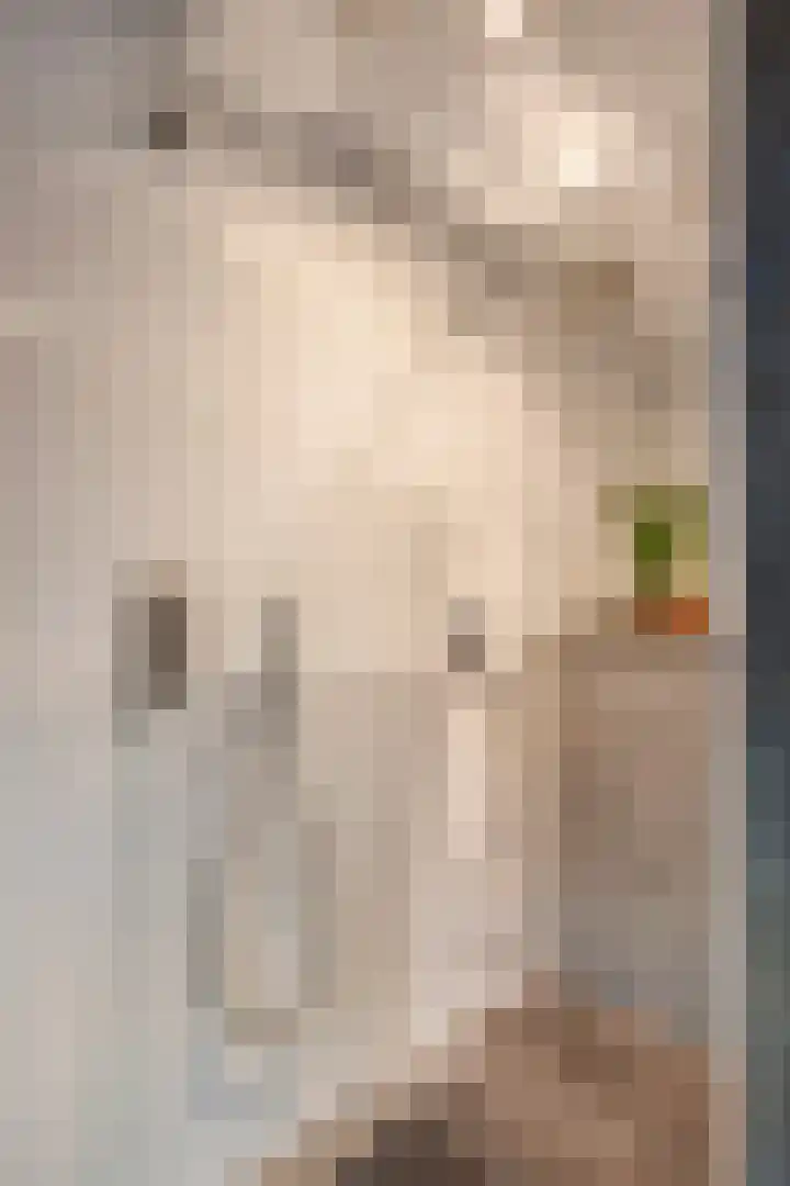 Narcissensingel 94 Geleen thumbnail 27