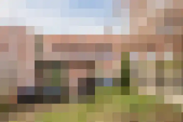 Narcisstraat 24 Uden thumbnail 33
