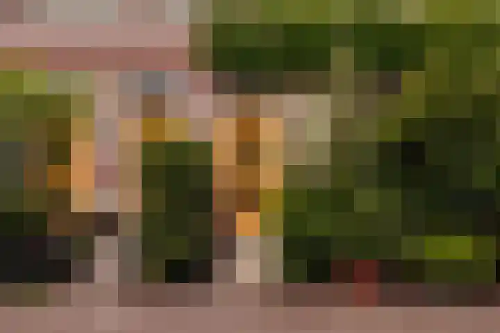 Narva-eiland 85 Amsterdam thumbnail 11