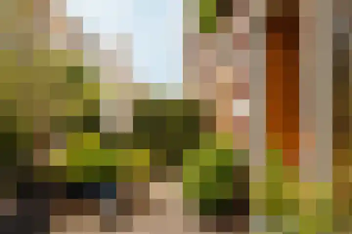 Narva-eiland 85 Amsterdam thumbnail 17