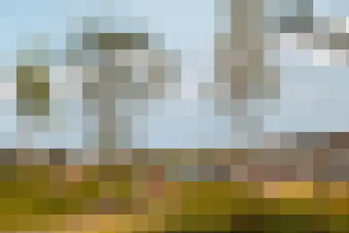 Narva-eiland 85 Amsterdam thumbnail 43