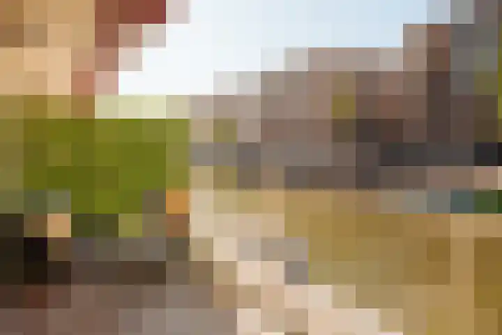 Narva-eiland 85 Amsterdam thumbnail 5