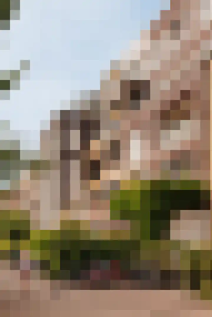 Narva-eiland 85 Amsterdam thumbnail 9
