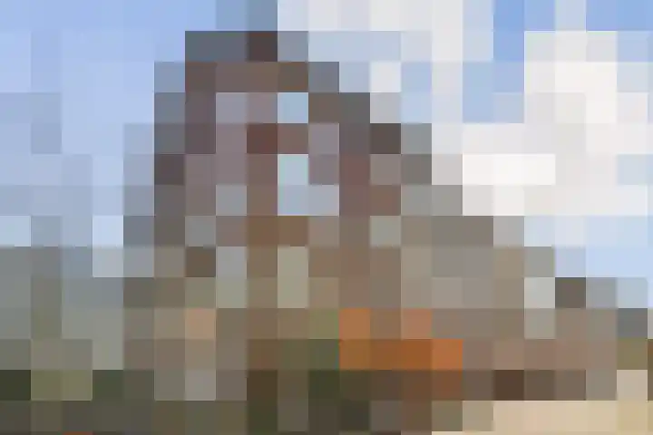 Narva-eiland 94 Amsterdam thumbnail 27