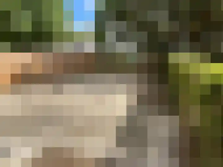 Nassauhaven 336 Rotterdam thumbnail 5