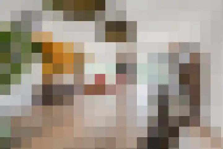 Nassauhof 3 Terborg thumbnail 13