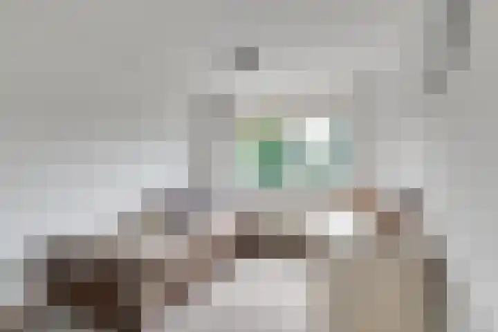 Nassauhof 3 Terborg thumbnail 29