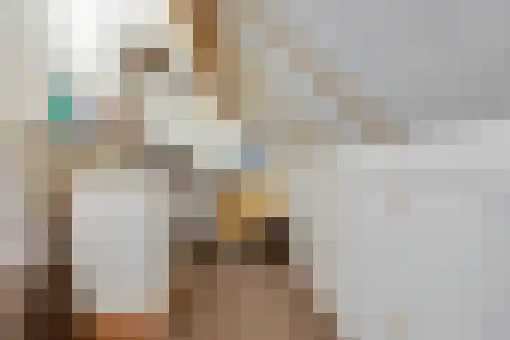 Nassauhof 3 Terborg thumbnail 37