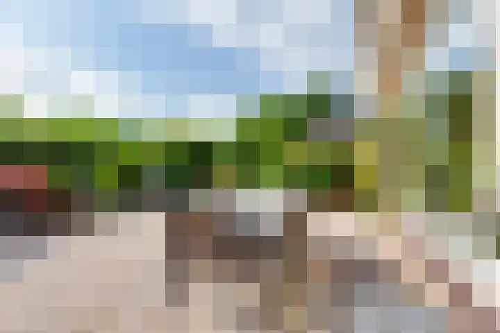 Nassauhof 3 Terborg thumbnail 44